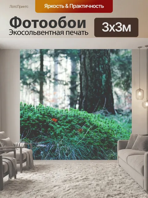Фотообои Лес
