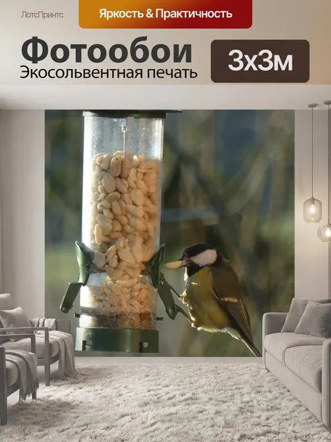 Фотообои Птица