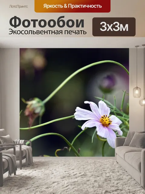 Фотообои Цветы