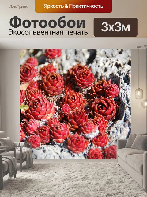 Фотообои Цветы