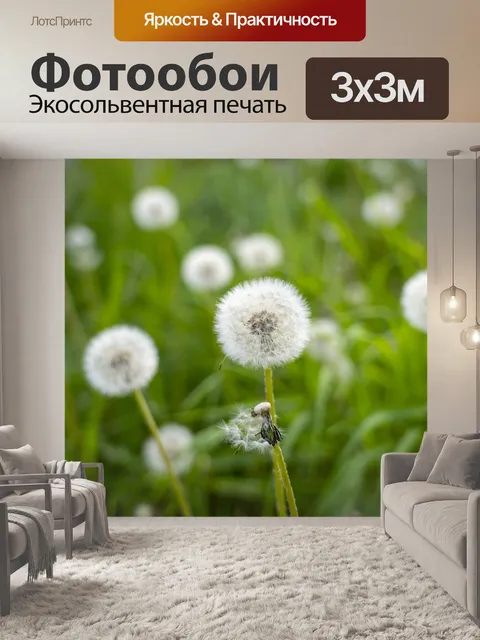 Фотообои Одуванчик