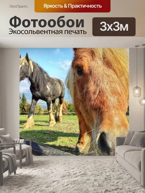Фотообои Лошадь