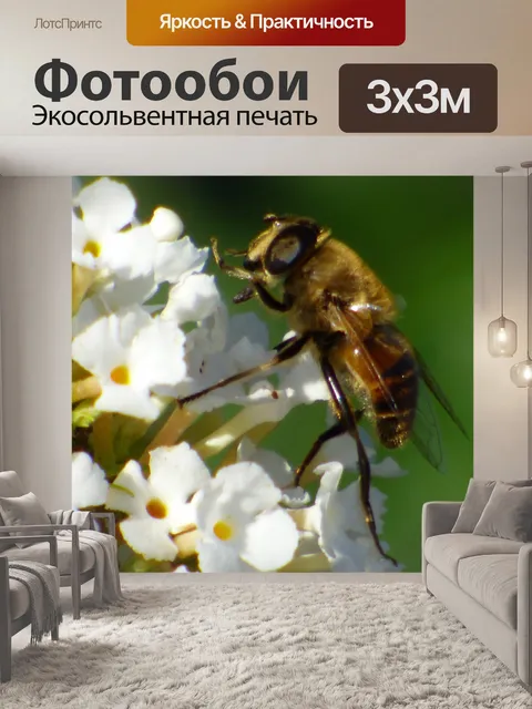 Фотообои Пчела на цветке
