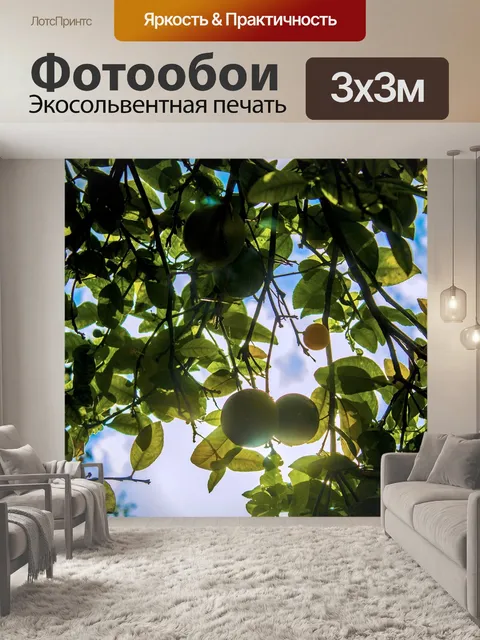 Фотообои Лайм