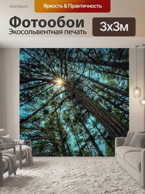 Фотообои Деревья
