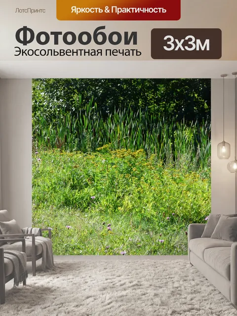 Фотообои Пейзаж Природа