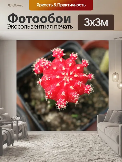 Фотообои Flower