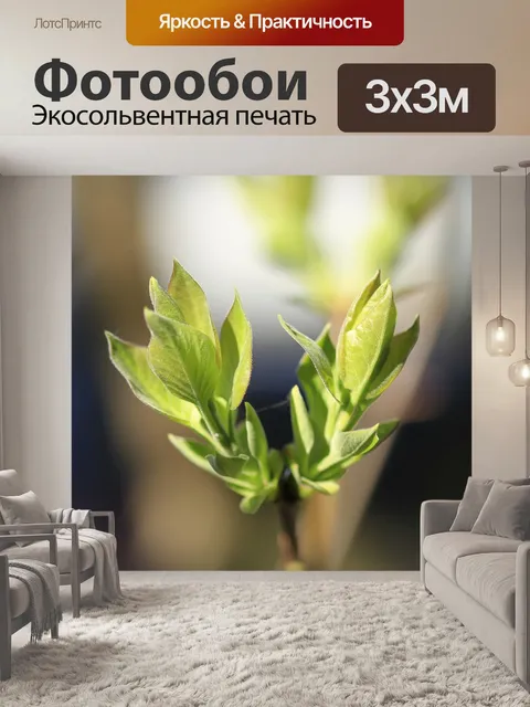 Фотообои Листья