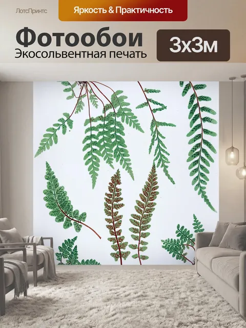 Фотообои Винтажная иллюстрация листвы папоротника
