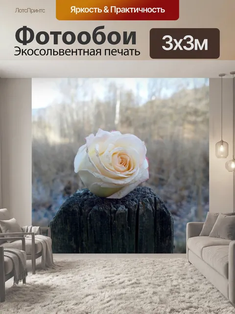 Фотообои Розы