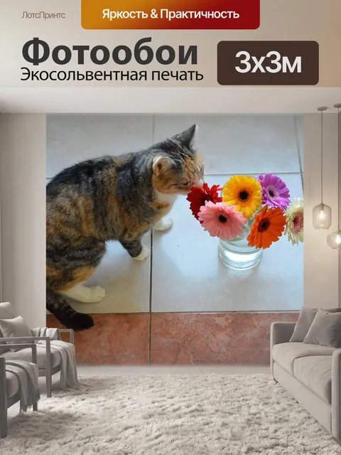 Фотообои Цветочные Kitty