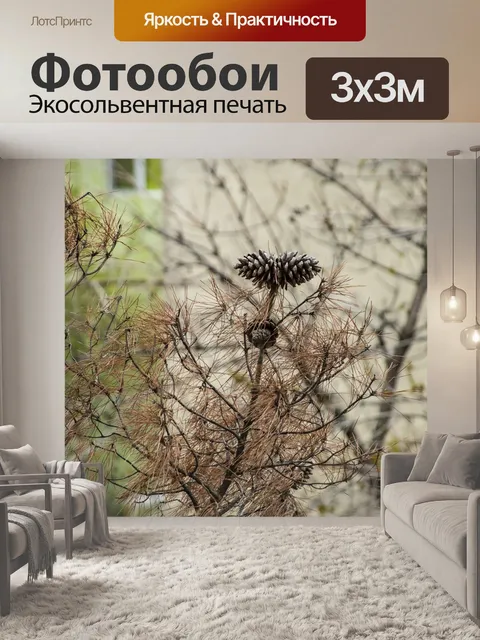 Фотообои Дерево