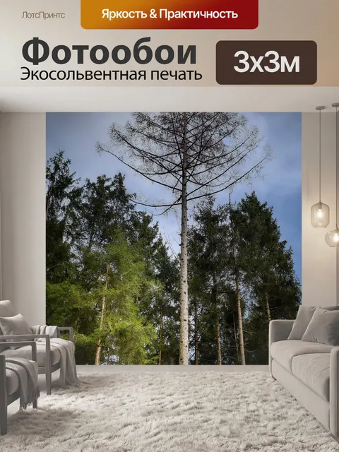 Фотообои Лес