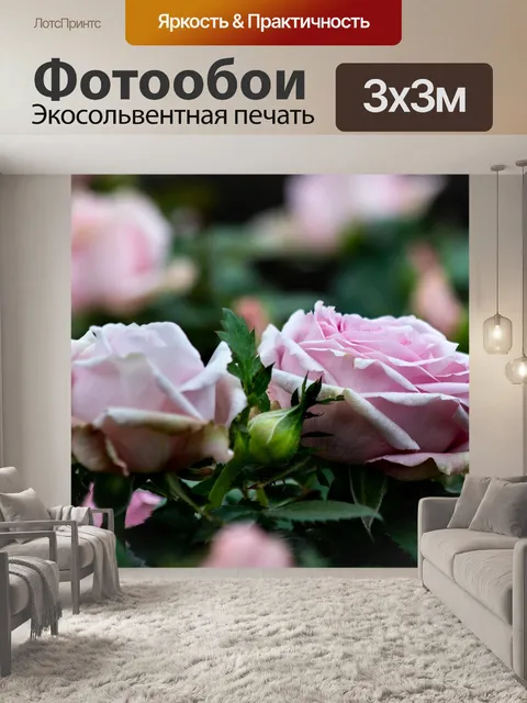 Фотообои Розы