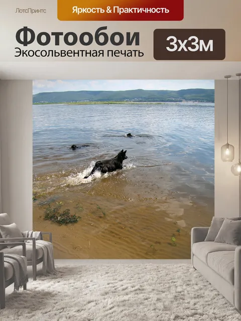 Фотообои Собаки