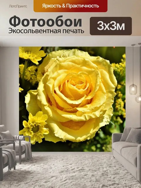 Фотообои Роза