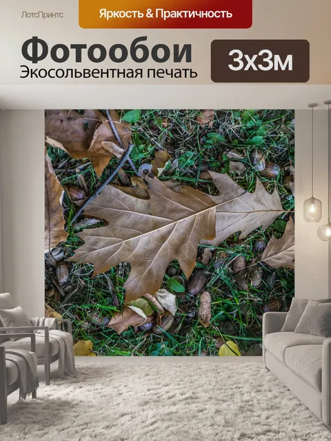Фотообои Осень