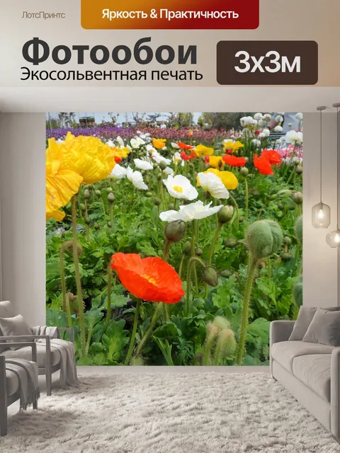 Фотообои Маки