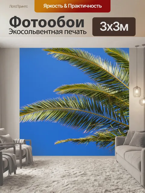Фотообои пальма листья и голубое небо