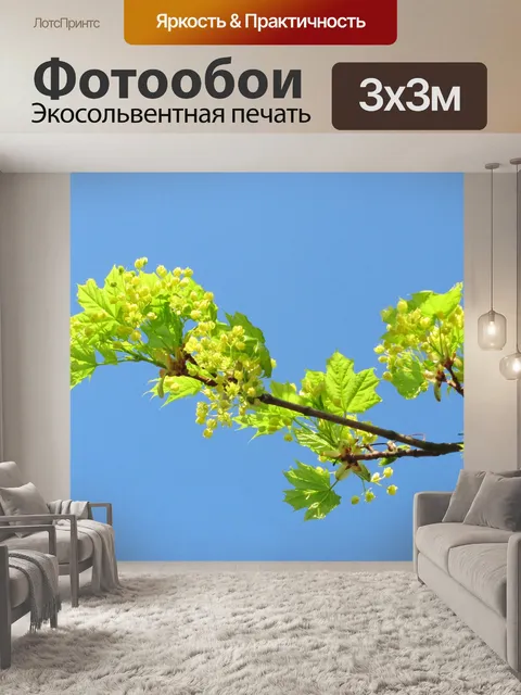 Фотообои Листья