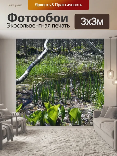 Фотообои Ветви