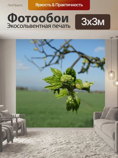 Фотообои Весна