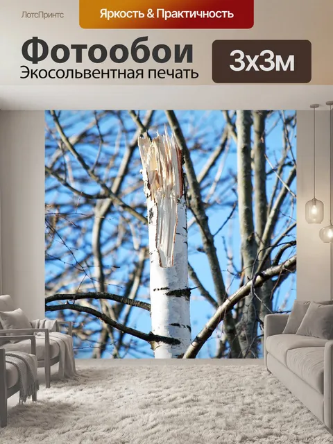Фотообои Дерево