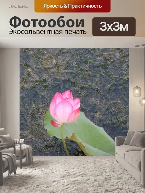 Фотообои Lotus