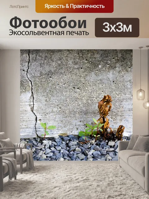 Фотообои Конкретный