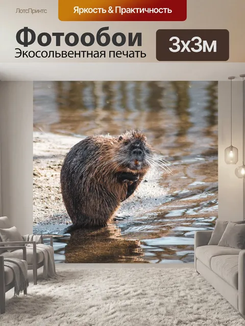 Фотообои Река