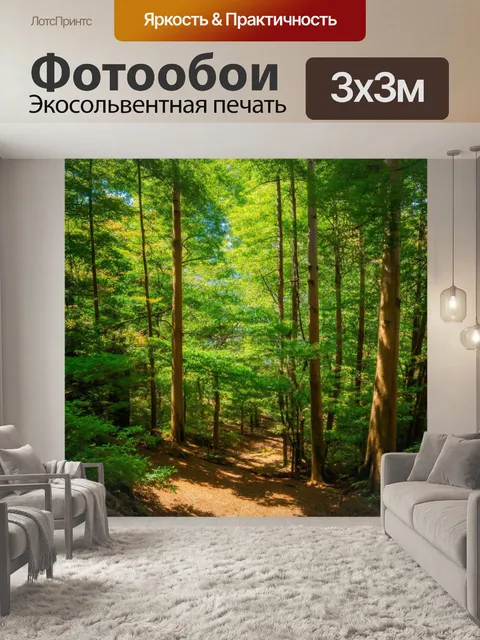 Фотообои япония, летний лес с высокими деревьями и густой растительностью, создающий ощущение спокойствия