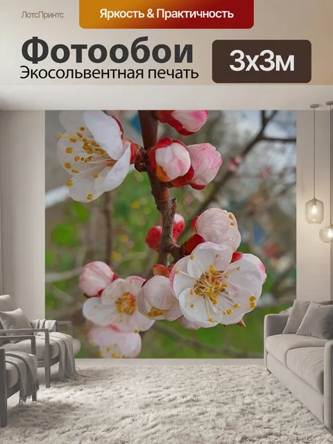 Фотообои Цветение вишни
