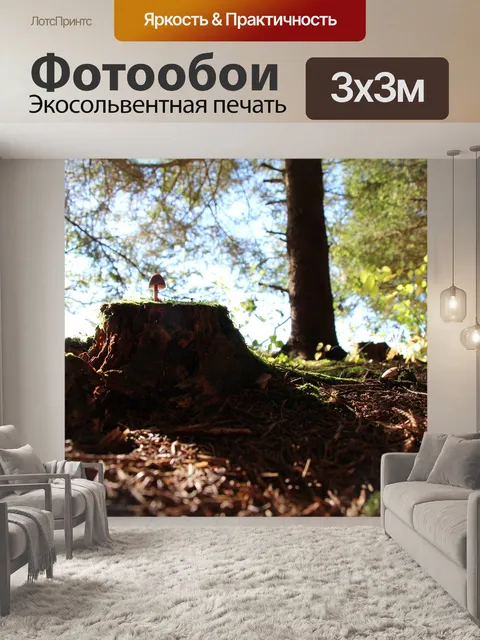 Фотообои Лес