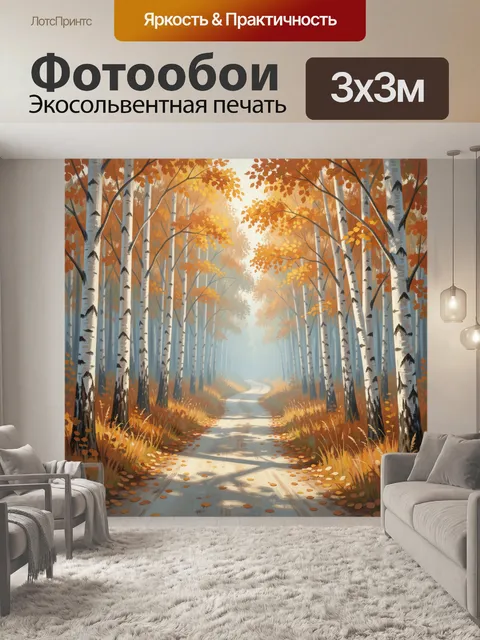 Фотообои Осенняя березовая аллея в лесу