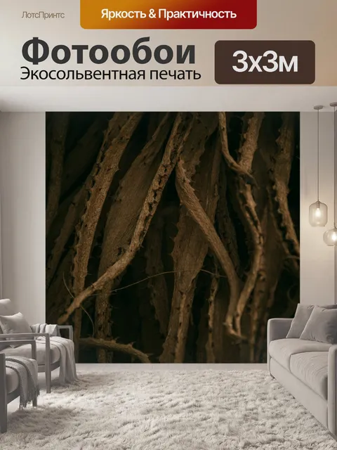 Фотообои коричневые листья алоэ