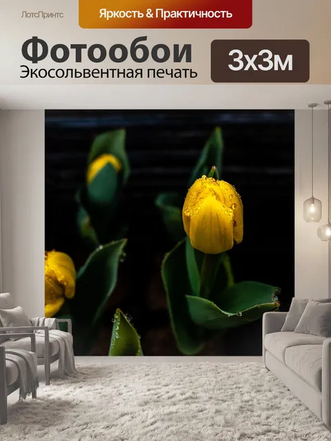 Фотообои Цветы