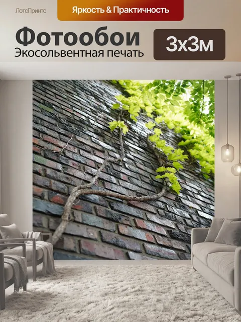 Фотообои Плющ