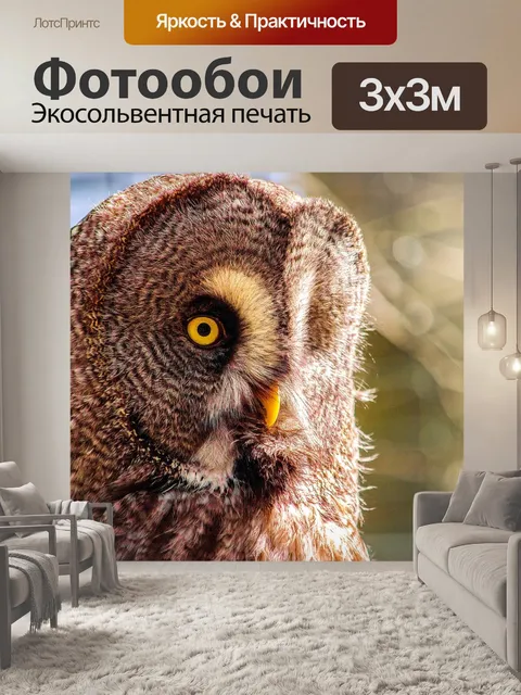 Фотообои Птица