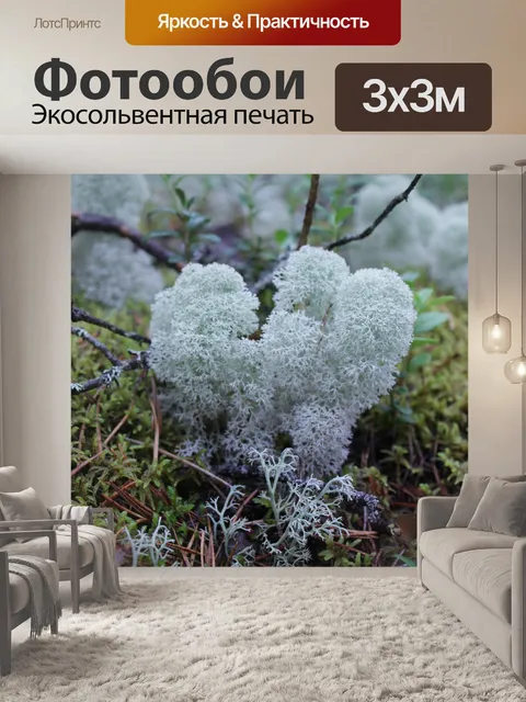 Фотообои Мох