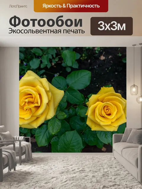 Фотообои Розы