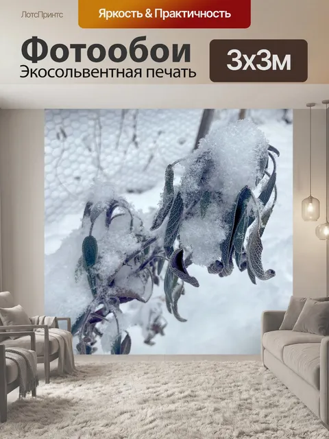 Фотообои Мудрец