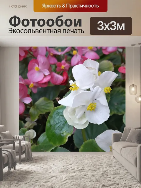 Фотообои Цветы