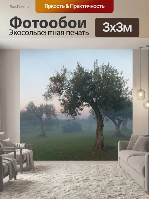 Фотообои Оливковое дерево