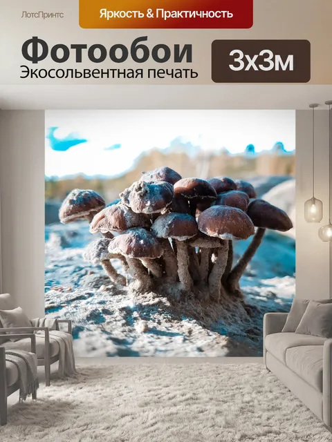 Фотообои Гриб