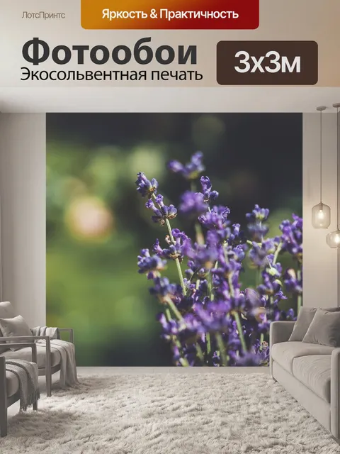 Фотообои Лаванда