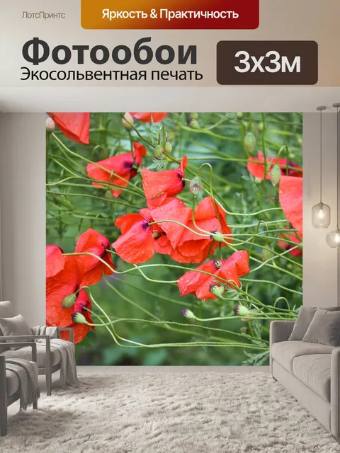 Фотообои Маки