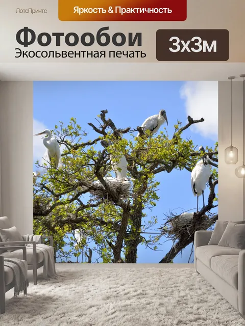 Фотообои Дерево Аисты Верстка