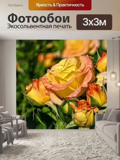 Фотообои Розы