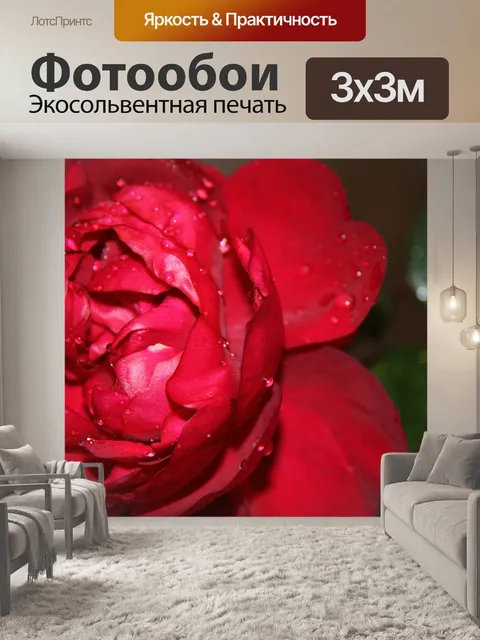 Фотообои Цветок