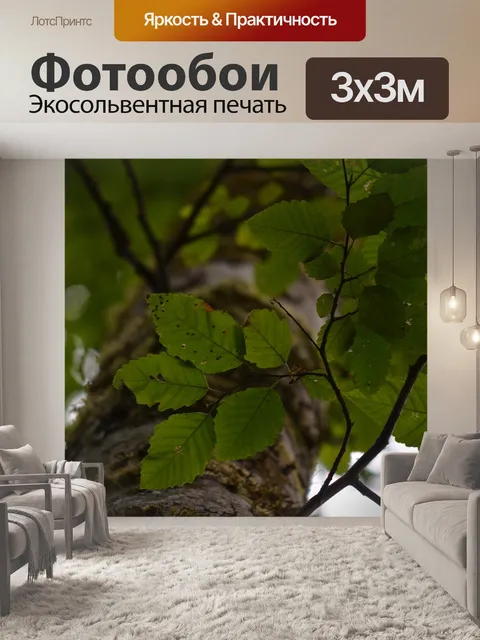 Фотообои Дерево